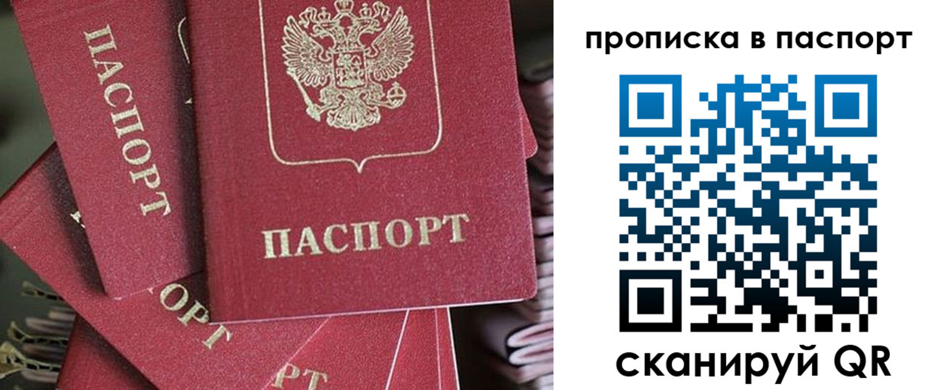 миграционный учет в Мурманской области