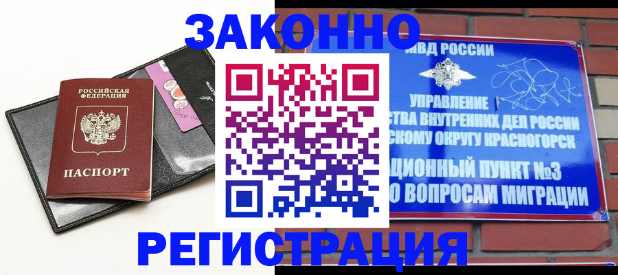 временная регистрация для школы в Мурманской области